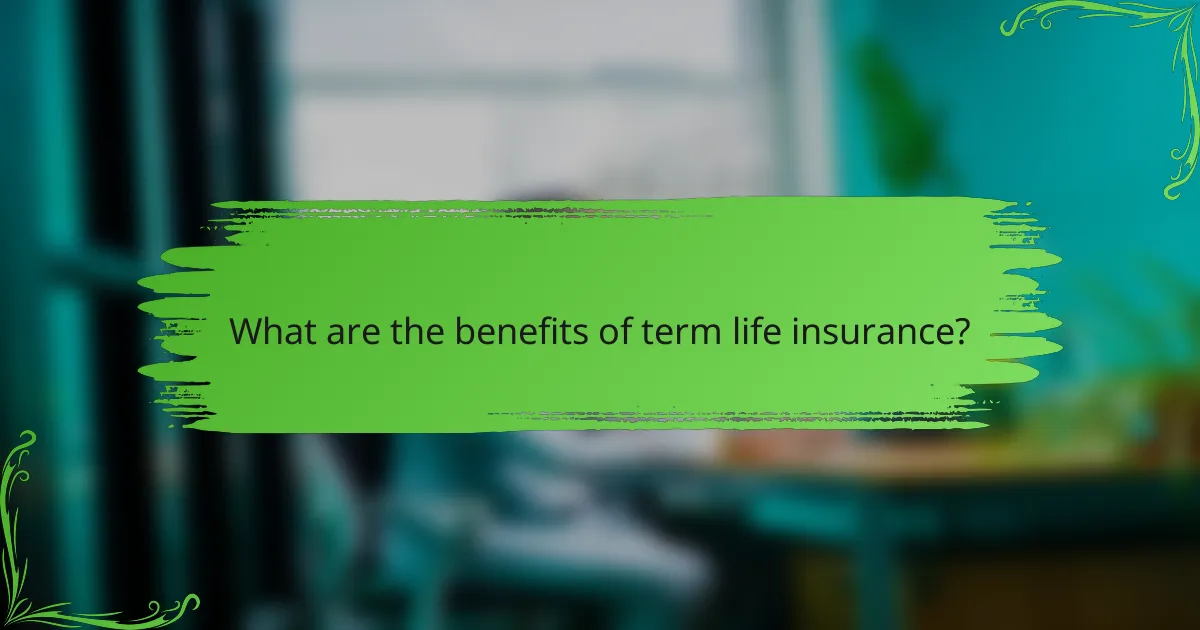 What are the benefits of term life insurance?
