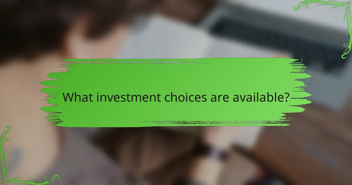 What investment choices are available?