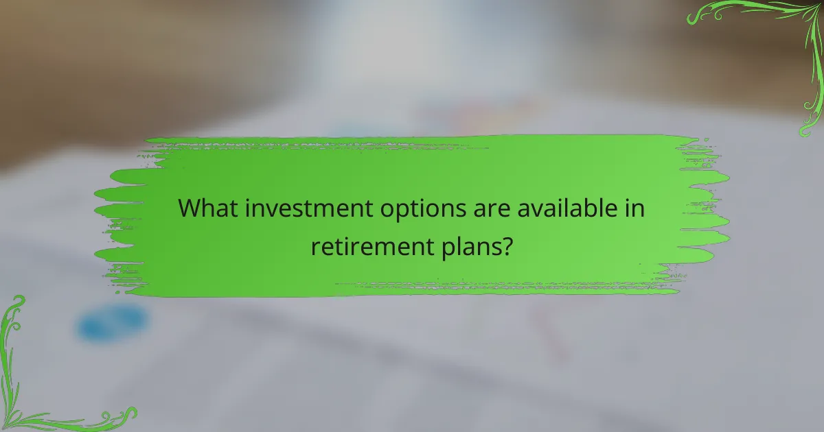 What investment options are available in retirement plans?